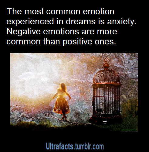 ultrafacts:  For more posts like this, follow Ultrafacts
