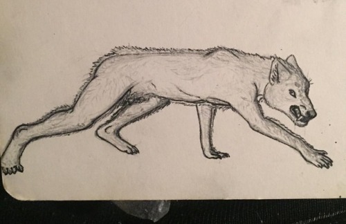 Here's An Oldie Ca 2015 I Believe! My Take On A Werewolf On A Small Page. I Make Werewolves Have Shorter