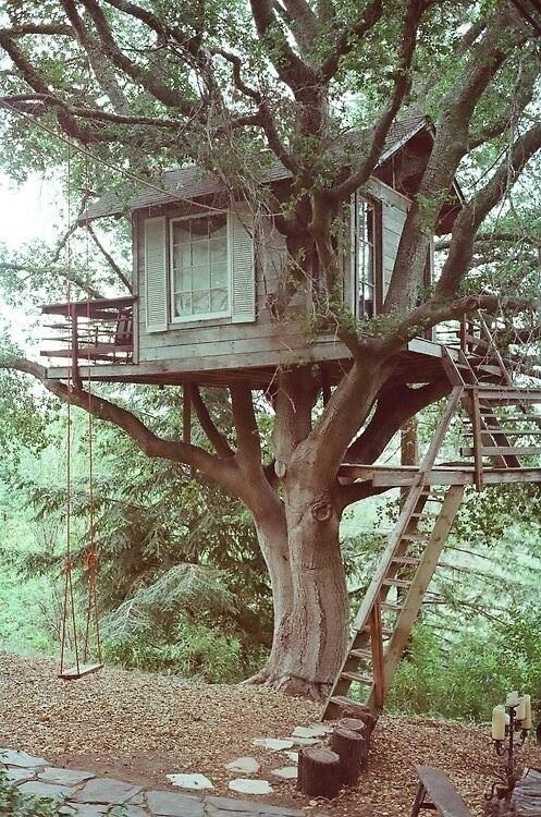snarksandkisses:  bruja-ja:  My long term goals include living in a treehouse connected to other treehouses by zip line and suspension bridge.  Don’t everyone’s? 