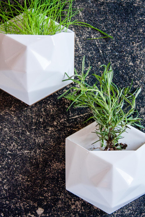 everything-creative:Planters for your wallThese geometric shaped wall planters are designed to bring