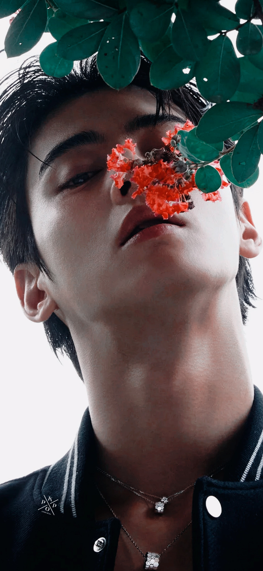 Cha Eunwoo; W Korea