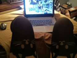 solatrap:  Minecraft and kitty tights!  Best