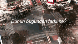 V E I N S