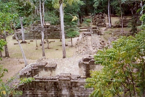 Ruinas,Tikal, Petén, Guatemala, 2002.