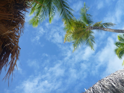 View from this weekend while lounging on the beaches of Aruba..
