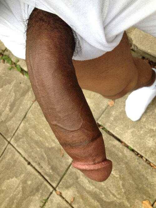 seeker310:  thickblackmanlove:evanbigdick: FOLLOW:✳️🍆🐎🍌EvanBigDick🍌🐎🍆✳️