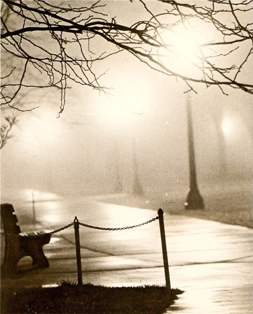 danskjavlarna: This photograph may be used to facilitate time travel.  From the Wake Forest yea