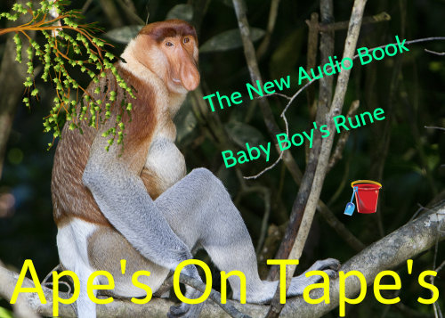 fruitsoftheape100:The NewThe New Audio Book “Baby Boy’s Rune”Ape’s On Tape’s Children Storys For You
