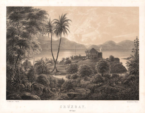 Four lithograph views of what are now the U.S. Virgin Islands, but were then the Danish West Indies.