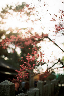 brutalgeneration:  looking up (by kaori.ikt)