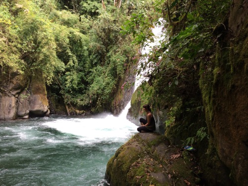 sunkissedaffliction:  It’ll take your breath away    Jungle/tropical blog