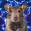 preciousbabyrat