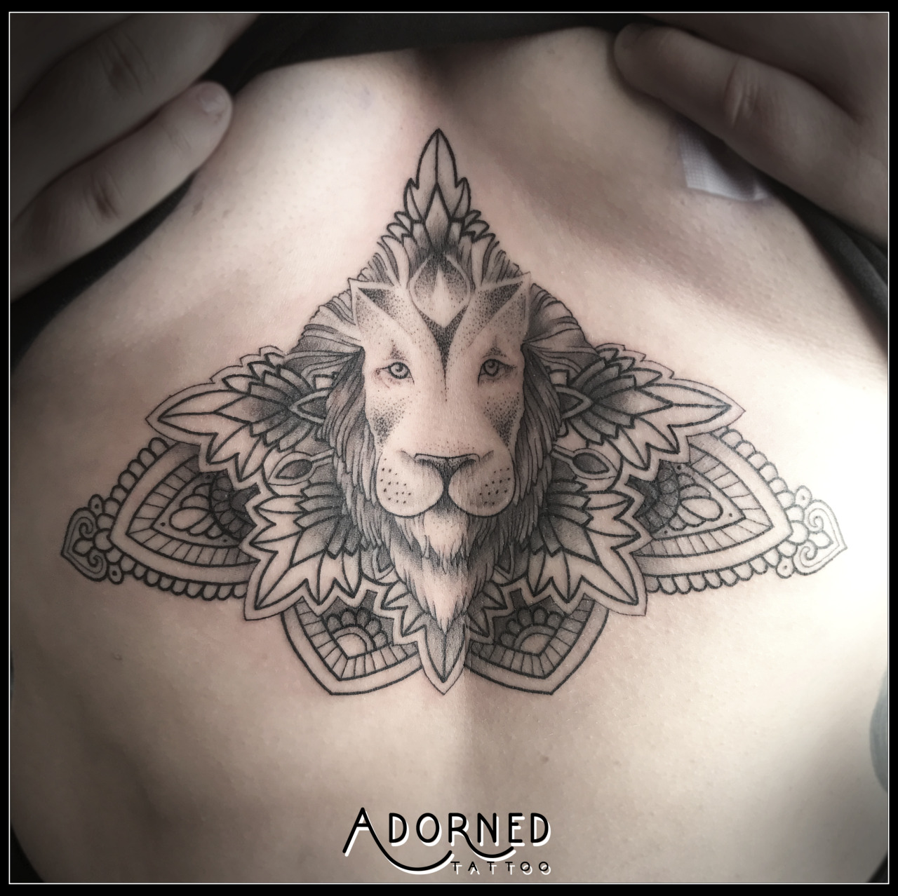 Lion on the sternum have a nice  Paul ORourke Tattoos  Facebook