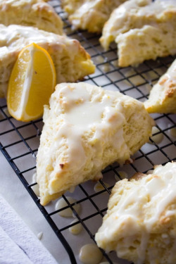 lustingfood:  MEYER LEMON & WHITE CHOCOLATE