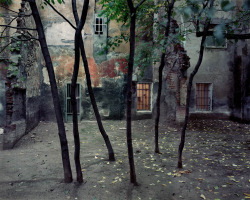 weepling:  Courtyard, Bologna Michael Eastman 