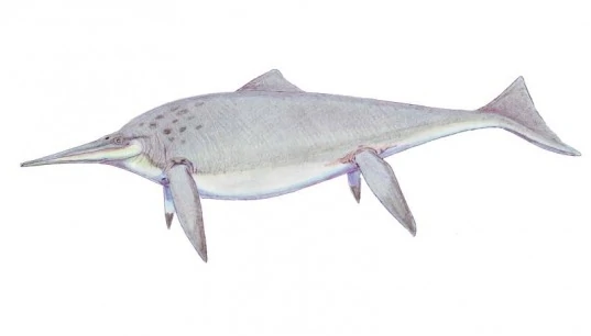 darksilvania:ALTALTALTALTThe Hybrid FossilsThis &ldquo;fossils&rdquo; pokemon