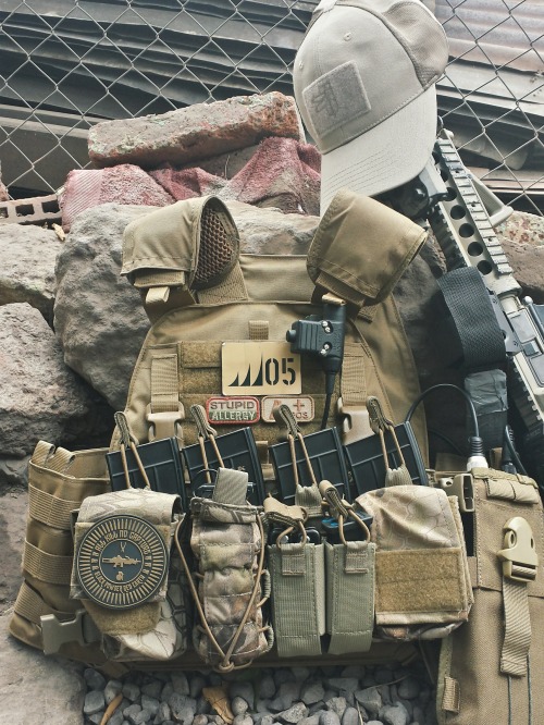 plate carrier