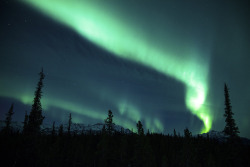 brutalgeneration:  Northern Lights in Alaska