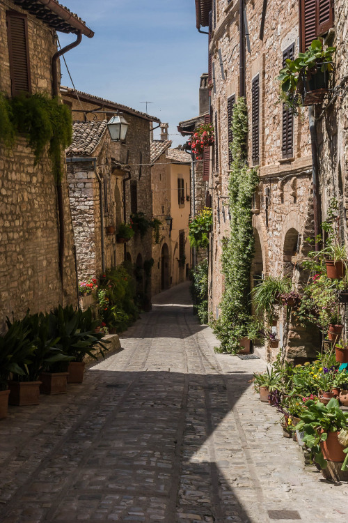 travel-lusting: Spello, Perugia, Italy (by nbowmanaz)