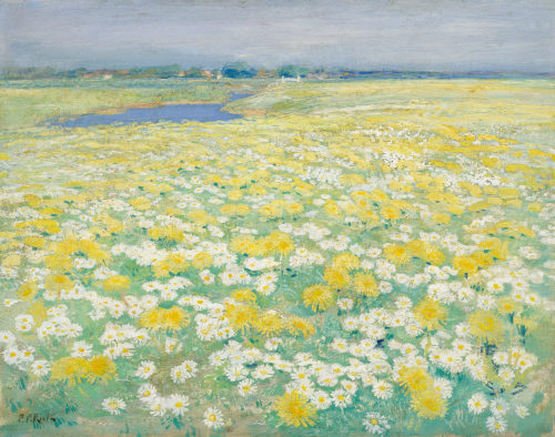 thatsbutterbaby:   Paulus Philippus (‘Paul’) Rink (Dutch, Veghel 1861 – 1903 Edam) - A field with flowers.  Oil on canvas,   43.3 x 55.1 cm.  