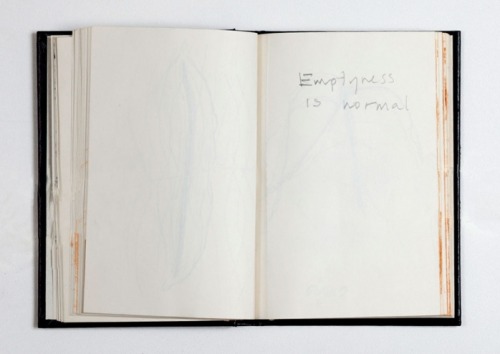 pictografica:  Anish Kapoor sketchbook page porn pictures