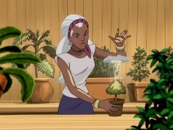 No, Storm. Stop It. That Is Not How You Grow A Bonsai.