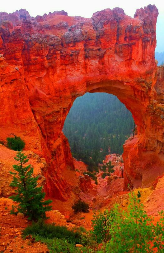Bryce Canyon Utah Aka Red Canyon