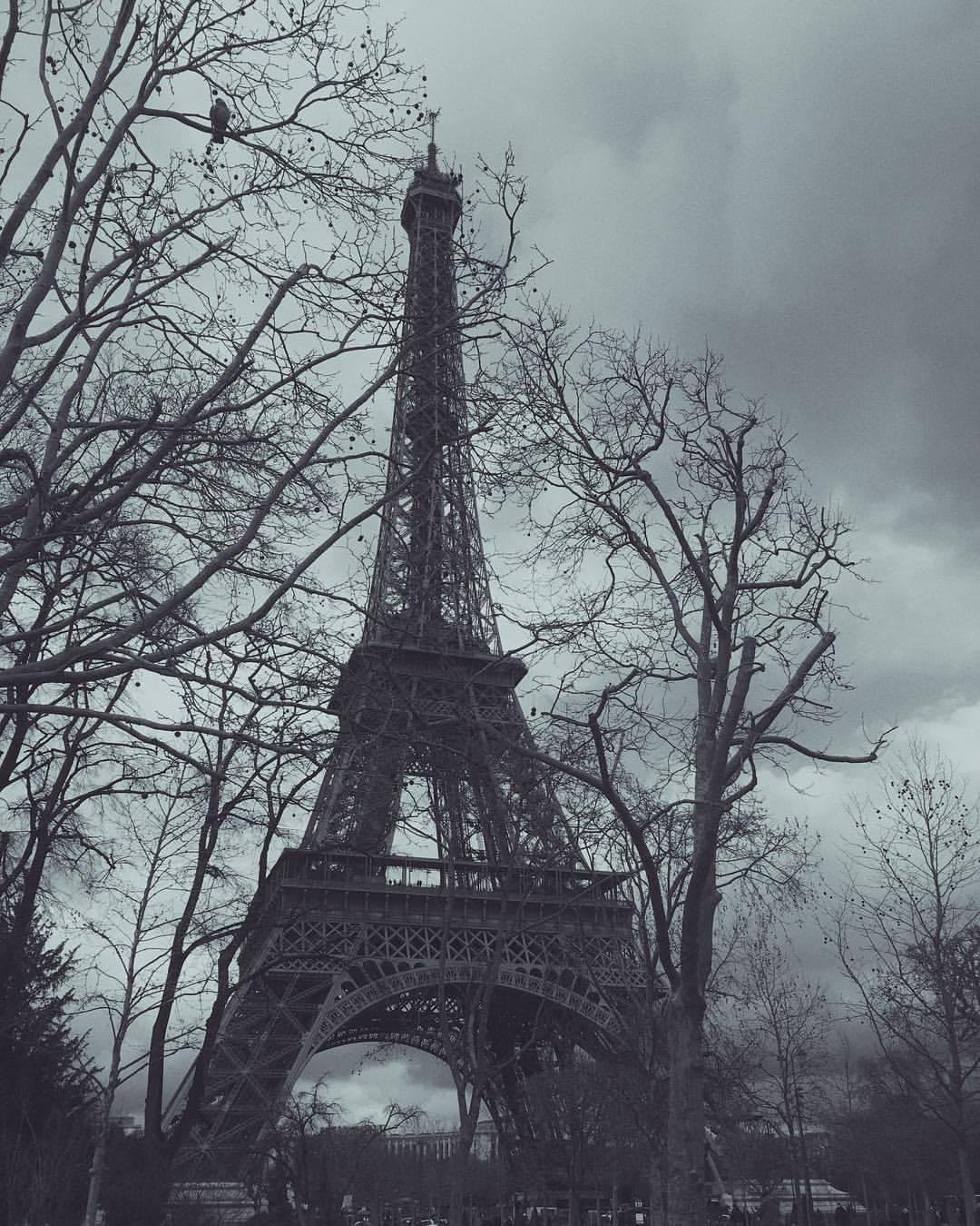 at Tour Eiffel