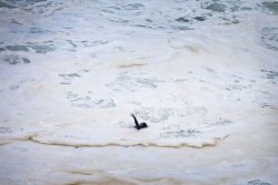 alunaes:  Brazilian surfer Maya Gabeira floats