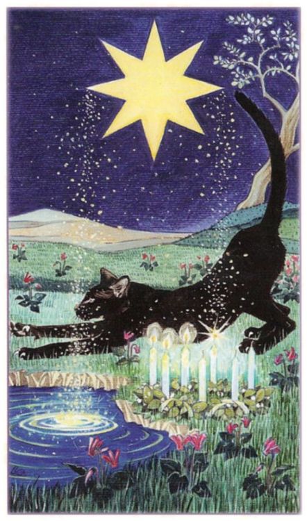 vladtheunfollower:Tarot of Pagan Catsby Lo Scarabeo