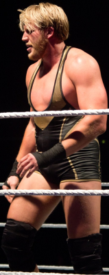 sexy wrestlers