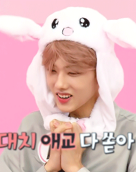 mrkslee: baby bunny