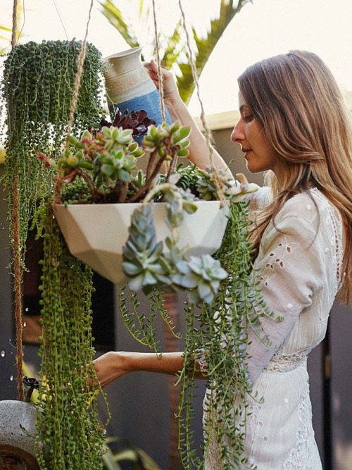 bohemianhomes: House Plants: String of Pearls