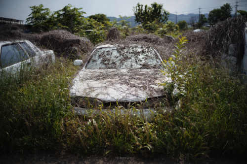 「民間療法」…Folk RemediesSIGMA fp + NOKTON classic 35mm F1.4 II SC VM