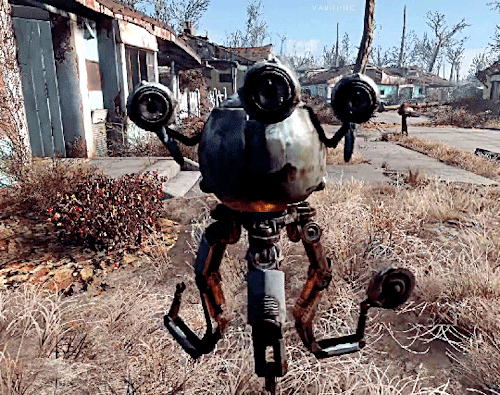 vaultt-tec:  Fallout 4 Companions: Dogmeat, porn pictures