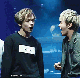vernonxhoshi: they make me feel shy   © 