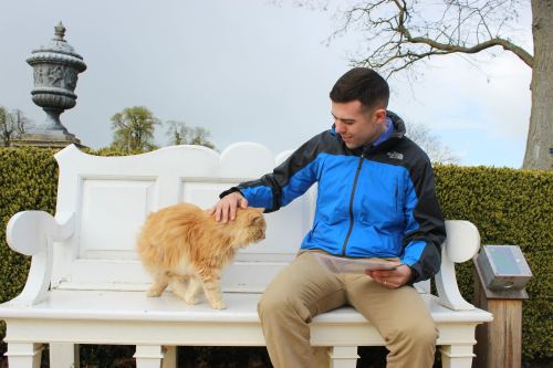 A sweet moment at Wimpole Hall with a resident ginger cat.