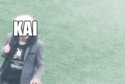 fuckhaja:  the basics of what happened today (orig. gif) 