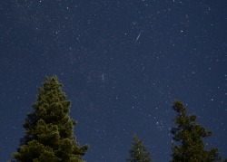 A brighter one. I think they are the beginning of the Perseid’s.