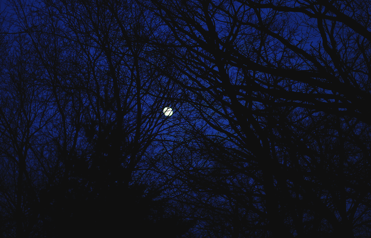 garettphotography: “Oh, Spring is surely coming,Her couriers fill the air;Each
