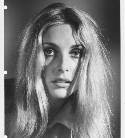 simply-sharon-tate:Sharon Tate, photographed