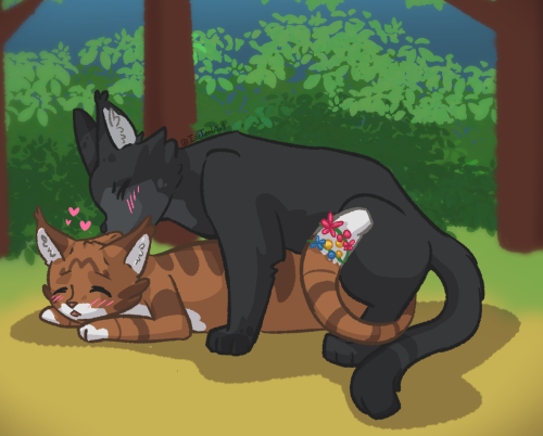 CrowFeather X LeafPool