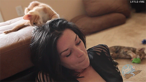 little-fire:  Stoya loves kittens 