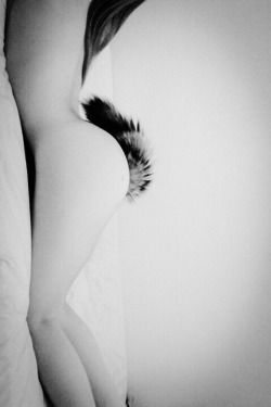 sexlovemystery:  Meow ^_^