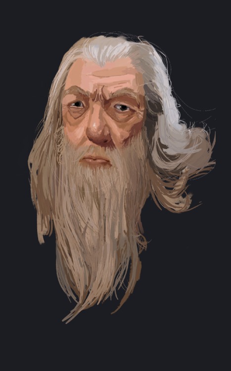 A sketch of Gandalf the grey