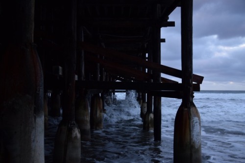 “Under the pier.
San Diego, U.S.A
”