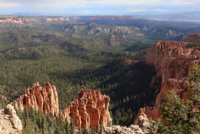 Bryce Canyon, Forest, United States