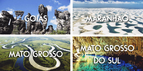 useless-brazil-facts: thosebrazilianthings: Brazilian states || Estados brasileiros All 26 Brazilian