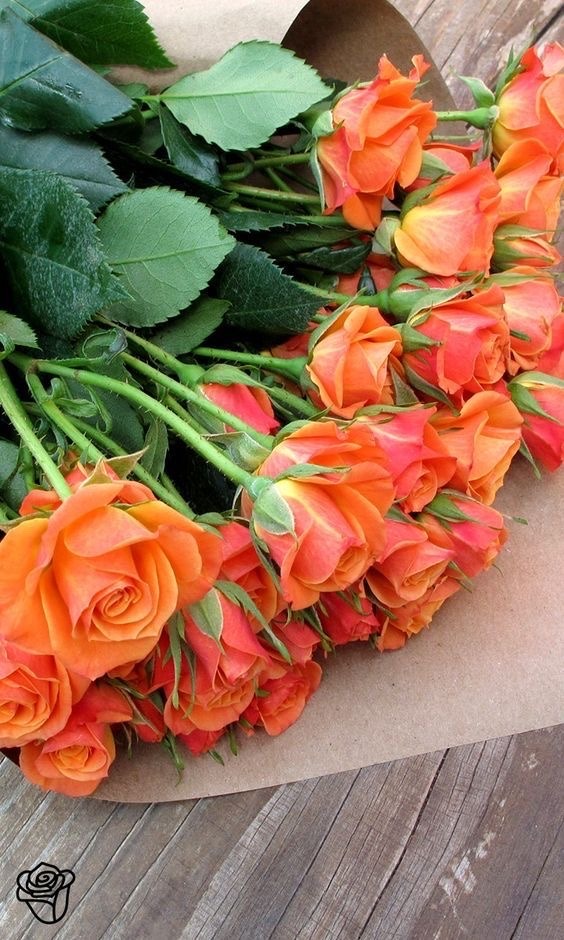 My Dream Bouquet Is One Of Each Of The Ouran High School Host Club’s Roses 