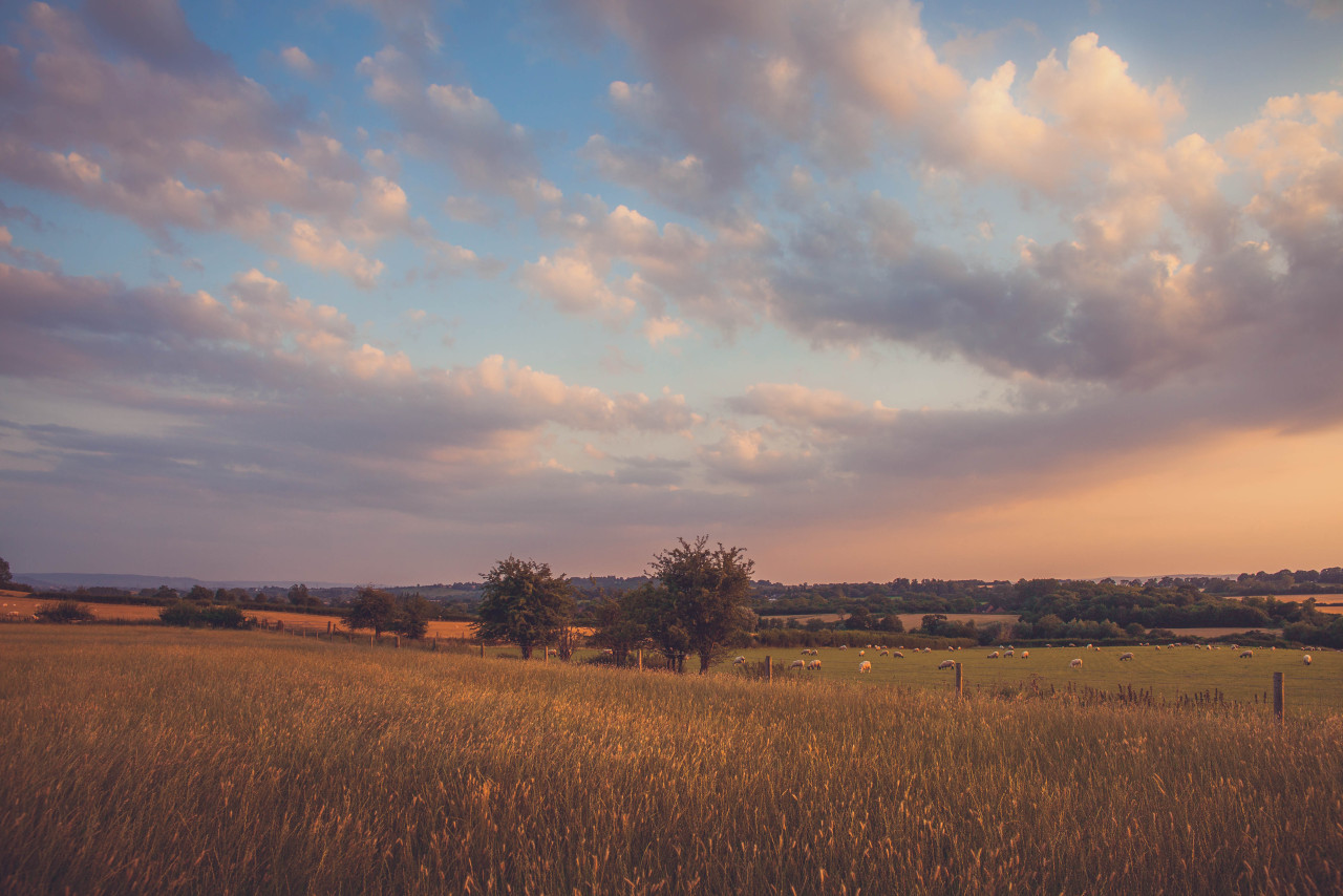 freddie-photography:  A series on One English Sunset One thing in life that I love,